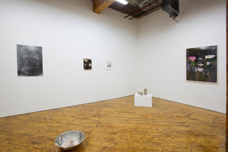 20190430 Alex Fischer Bending Towards the Sun YYZ 14 documentation